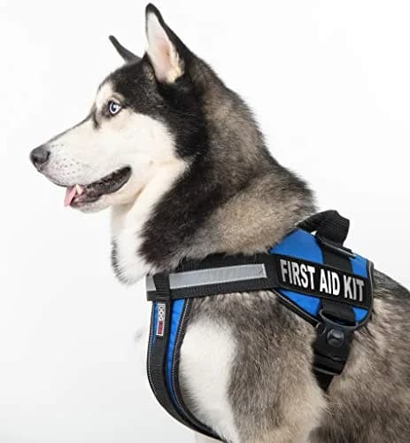 Dogline First Aid Kit Vest Patches 1" x 2.75" (2-Pack) | Reflective & Weather-Resistant ID for Working Dogs thumbnail 7