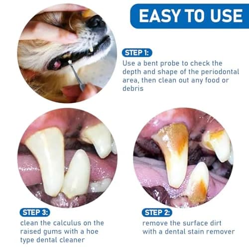 Hotop Stainless Steel Dog Tooth Scaler & Scraper 3 Pcs | Tartar & Plaque Removal Tool for Dogs thumbnail 4