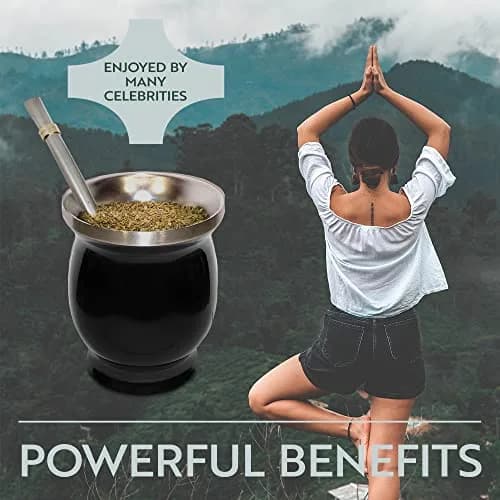 Norte Group Stainless Steel Double-Walled Yerba Mate Gourd Tea Cup Set with Bombilla & Brush | 8oz (237ml) Black thumbnail 5