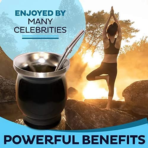 Norte Group Stainless Steel Double-Walled Yerba Mate Gourd Tea Cup Set with Bombilla & Brush | 8oz (237ml) Black thumbnail 8
