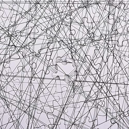 Bgraamiens Puzzle-The Lines 1000 Pieces | Challenging Black & White Art Puzzle for Adults & Kids thumbnail 6