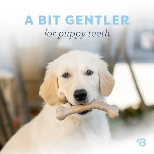 Benebone Puppy Wishbone Dog Chew Toy, Real Bacon, Small | Durable Nylon Chew for Teething Pups thumbnail 2