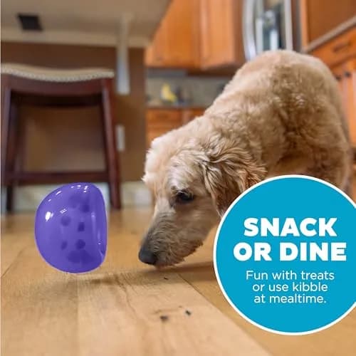 Outward Hound Lil' Snoop Interactive Treat Dispensing Dog Toy, Purple, 3.9" | Mental Stimulation & Slow Feeding thumbnail 5