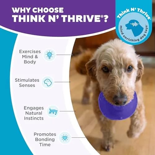Outward Hound Lil' Snoop Interactive Treat Dispensing Dog Toy, Purple, 3.9" | Mental Stimulation & Slow Feeding thumbnail 6