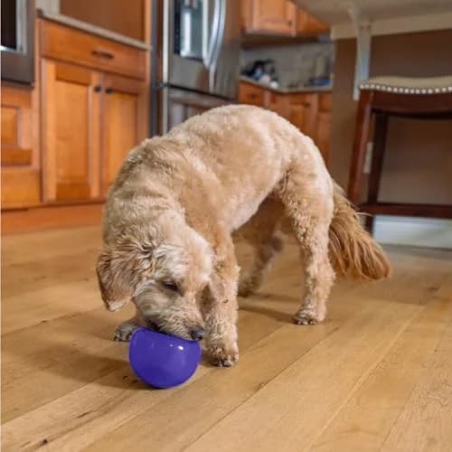 Outward Hound Lil' Snoop Interactive Treat Dispensing Dog Toy, Purple, 3.9" | Mental Stimulation & Slow Feeding thumbnail 8