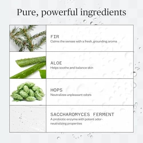 Ursa Major Forest Fix Spray Deodorant | Vegan, Aluminum-Free, Non-Staining, Sensitive Skin Friendly thumbnail 3
