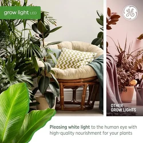 GE Grow Lights for Indoor Plants BR30 LED Bulb 4 Pack | Balanced Spectrum for Seeds & Greens thumbnail 4