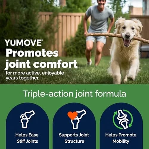 YuMOVE Senior Dog Joint Supplement Glucosamine & Green Lipped Mussel 120ct | Proven in 4 Weeks for Aging Dogs thumbnail 2