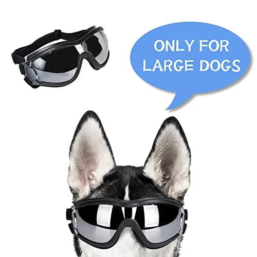 NVTED Dog Sunglasses/Goggles Medium/Large Dog Black | UV Protection Wind Protection Dust Protection thumbnail 8