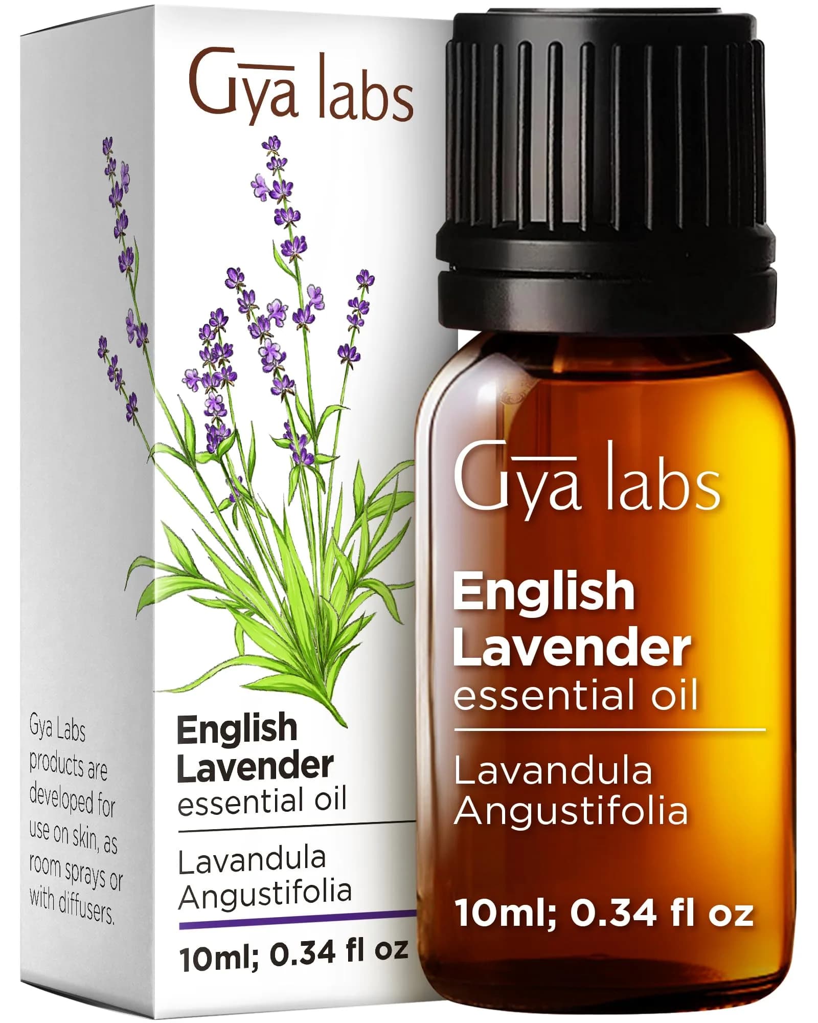 Gya Labs 100% Pure English Lavender Essential Oil, 0.34 Fl Oz (10ml) | Calming Scent for Diffuser & Skin Care
