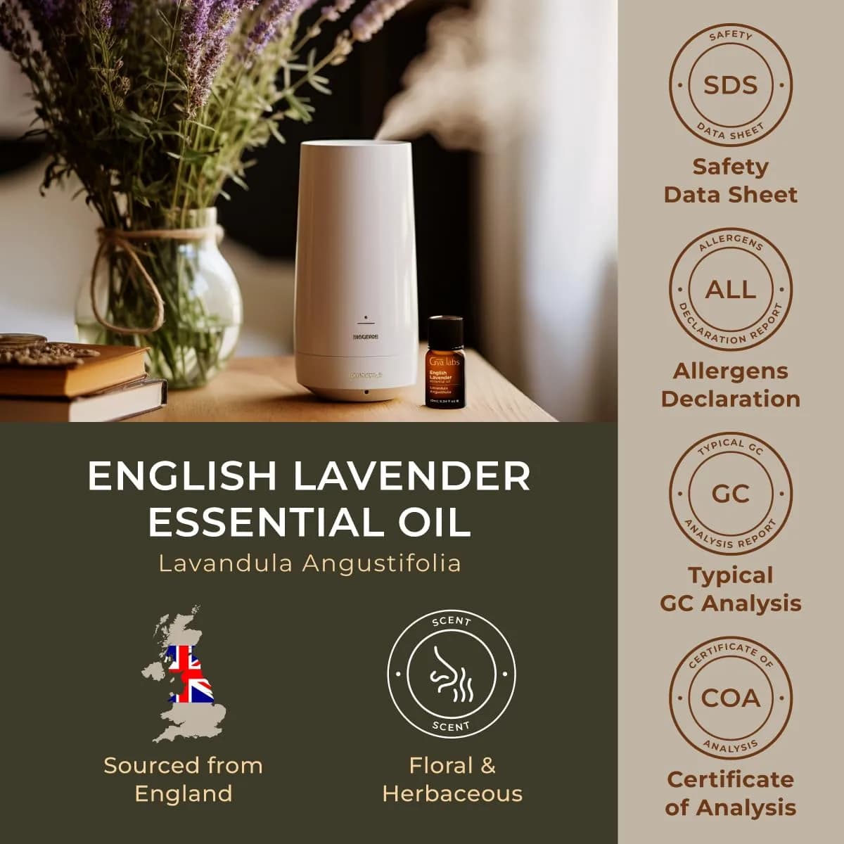 Gya Labs 100% Pure English Lavender Essential Oil, 0.34 Fl Oz (10ml) | Calming Scent for Diffuser & Skin Care thumbnail 6