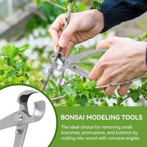 HERCHR Bonsai Tools Concave Cutter 180 mm | High-Quality Stainless Steel Pruning Bonsai Scissor thumbnail 5
