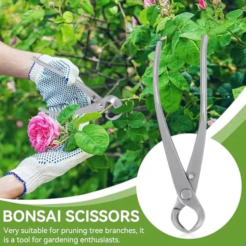 HERCHR Bonsai Tools Concave Cutter 180 mm | High-Quality Stainless Steel Pruning Bonsai Scissor thumbnail 6