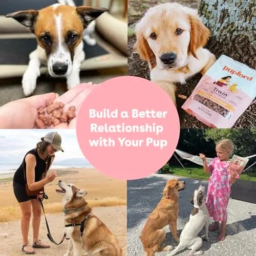 Pupford Freeze Dried Training Treats for Dogs & Puppies (Chicken, 4 oz) | Healthy, All-Natural, Low-Calorie Reward thumbnail 6