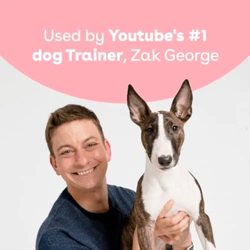 Pupford Freeze Dried Training Treats for Dogs & Puppies (Chicken, 4 oz) | Healthy, All-Natural, Low-Calorie Reward thumbnail 7