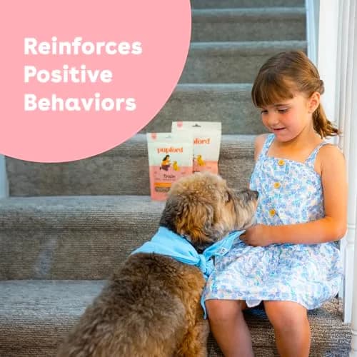 Pupford Freeze Dried Training Treats for Dogs & Puppies (Chicken, 4 oz) | Healthy, All-Natural, Low-Calorie Reward thumbnail 3