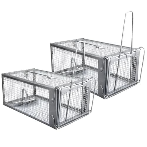 Gingbau Humane 2-Pack Rat Traps for Indoor & Outdoor Use | Live Chipmunk & Mouse Catch & Release thumbnail 1