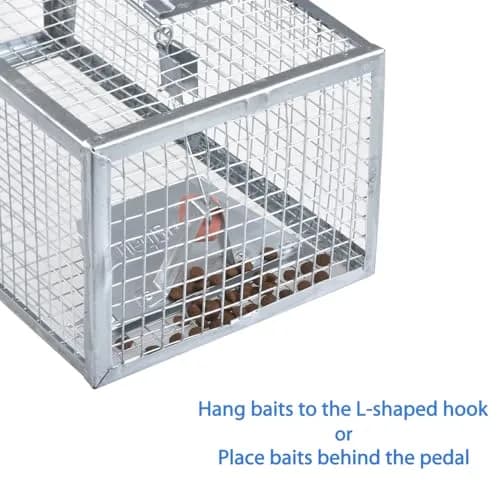 Gingbau Humane 2-Pack Rat Traps for Indoor & Outdoor Use | Live Chipmunk & Mouse Catch & Release thumbnail 7
