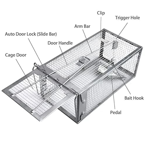 Gingbau Humane 2-Pack Rat Traps for Indoor & Outdoor Use | Live Chipmunk & Mouse Catch & Release thumbnail 3