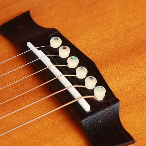 Blisstime 6pcs Unbleached Guitar Bone Bridge Pins Natural Bone Color | Improve Tone & Appearance thumbnail 6