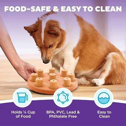 Outward Hound Dog Smart Treat Puzzle Toy Level 1 Beginner Orange Composite | Interactive Enrichment for Dogs thumbnail 5