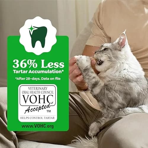 Greenies Feline Natural Crunchy Dental Cat Treats Salmon Flavor 4.6 oz (130 g) | Vet-Recommended Oral Care thumbnail 6