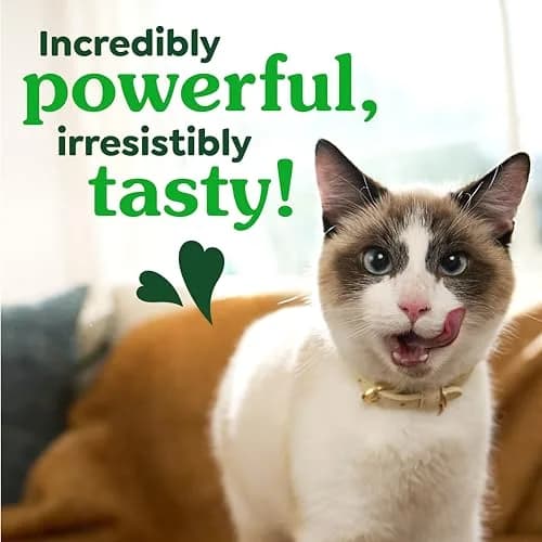 Greenies Feline Natural Dental Cat Treats Roasted Chicken Flavor 9.75 oz (276 g) | Vet-Recommended Oral Care for Cats thumbnail 7