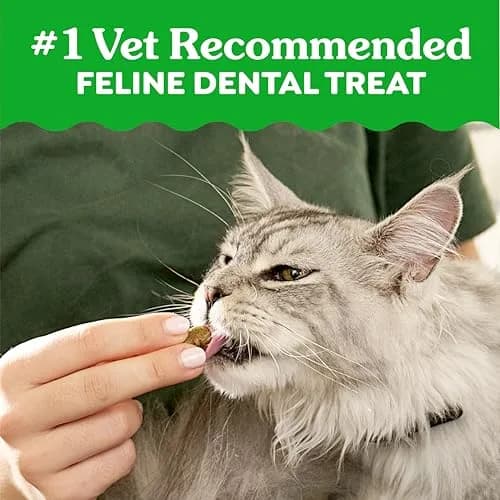Greenies Feline Natural Dental Cat Treats Roasted Chicken Flavor 9.75 oz (276 g) | Vet-Recommended Oral Care for Cats thumbnail 3