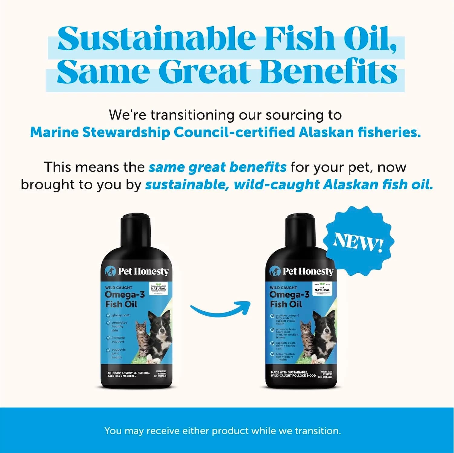 Pet Honesty Skin Health Omega Soft Chews for Dogs | 90 Chews (2.5kg / 5.5lb) — Fish Oil / 32oz thumbnail 4