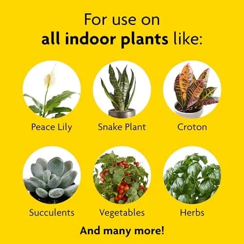 Miracle-Gro Liquid Fertilizer 8 oz | Indoor Plant Food for Houseplants, Snake Plants, Peace Lilies, Vegetables, Herbs, 2-Pack thumbnail 4