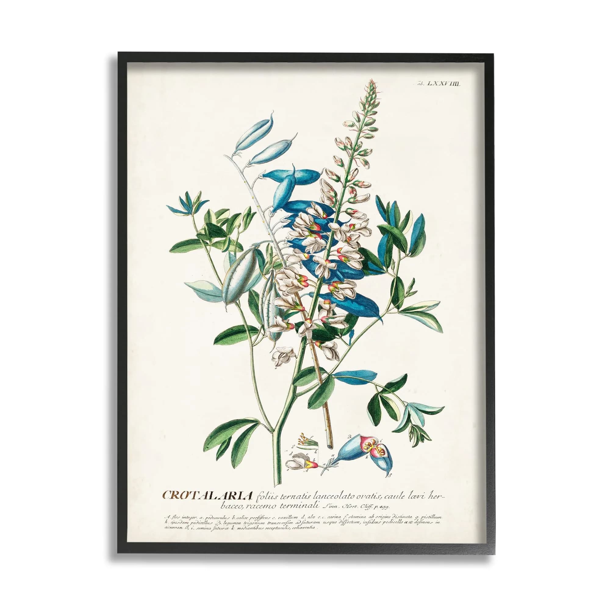 Stupell Industries Botanical Plant Illustration Flowers and Leaves Vintage Design 16 x 20 | Textured Framed Wall Art - main product image