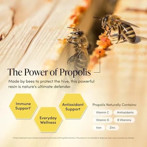 Beekeeper's Naturals Kids Propolis Immune Support Throat Spray 2 Fl Oz (Pack of 2) | Natural Immune Support & Sore Throat Relief thumbnail 3