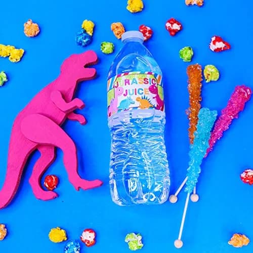 Amanda Creation Dinosaur Birthday Water Bottle Stickers | Waterproof 20 Labels for Girls, 1.75" x 8.5" thumbnail 4