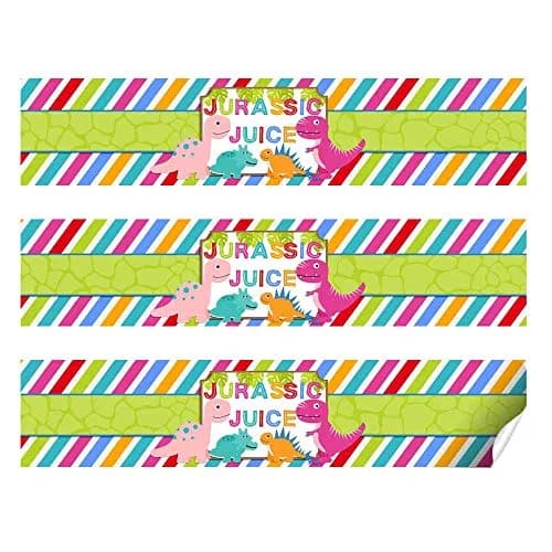 Amanda Creation Dinosaur Birthday Water Bottle Stickers | Waterproof 20 Labels for Girls, 1.75" x 8.5" thumbnail 2
