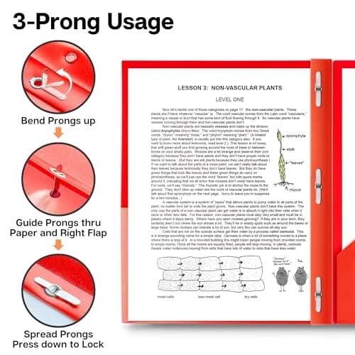 Dunwell Plastic 2-Pocket Folders with 3 Prongs, Red, 2 Pack (23.7cm x 29.5cm x 1.1cm) | Durable Poly Folders for Students & Professionals thumbnail 4
