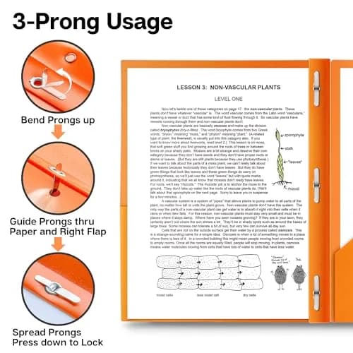 Dunwell Plastic 2-Pocket Folders with 3 Prongs Assorted 24 Pack | Durable, Water-Resistant, School & Office Use thumbnail 4