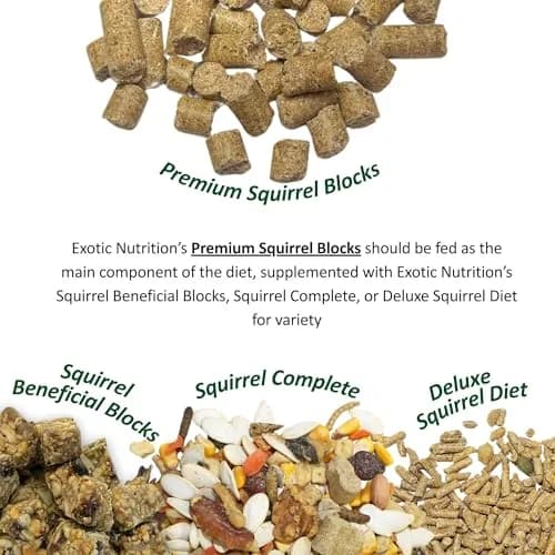 Exotic Nutrition Squirrel Complete 6.8 kg (15 lb) | Healthy Natural Food for Pet & Captive Squirrels thumbnail 1