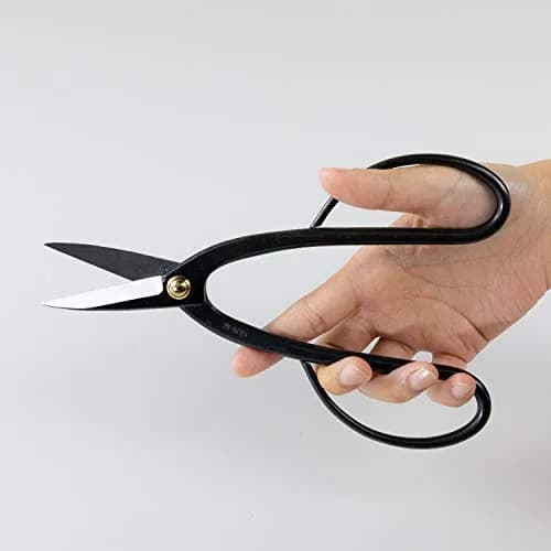 Wazakura Ashinaga Bonsai Pruning Scissors 200mm (7.87in) | Precision Carbon Steel Cut for Delicate Bonsai & Floristry thumbnail 7
