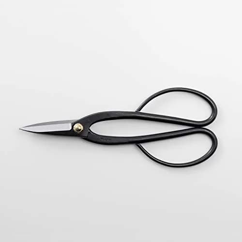 Wazakura Ashinaga Bonsai Pruning Scissors 200mm (7.87in) | Precision Carbon Steel Cut for Delicate Bonsai & Floristry thumbnail 8