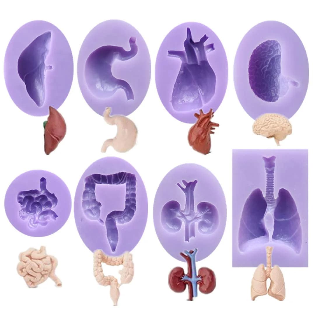 Dekostar Human Organs Shape Silicone Molds,8 Pcs | Food Preparation & Cake Decor - main product image