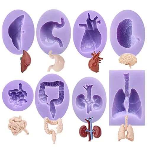 Dekostar Human Organs Shape Silicone Molds,8 Pcs | Food Preparation & Cake Decor thumbnail 1