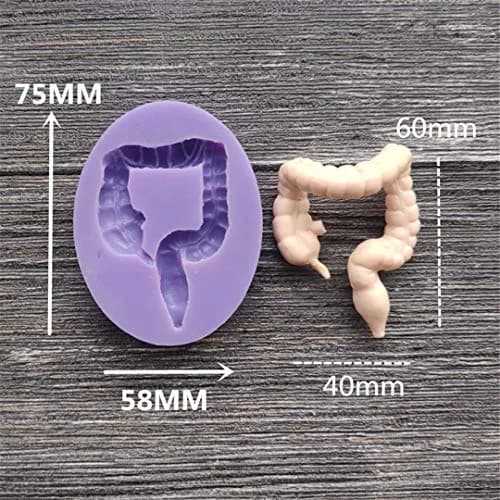 Dekostar Human Organs Shape Silicone Molds,8 Pcs | Food Preparation & Cake Decor thumbnail 7
