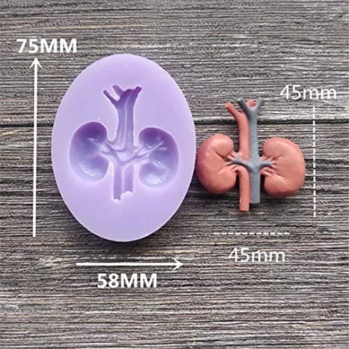 Dekostar Human Organs Shape Silicone Molds,8 Pcs | Food Preparation & Cake Decor thumbnail 8