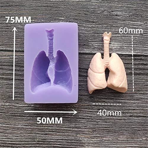 Dekostar Human Organs Shape Silicone Molds,8 Pcs | Food Preparation & Cake Decor thumbnail 9