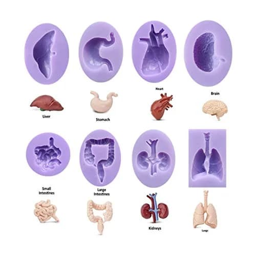 Dekostar Human Organs Shape Silicone Molds,8 Pcs | Food Preparation & Cake Decor thumbnail 2