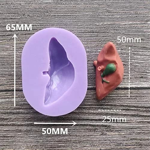 Dekostar Human Organs Shape Silicone Molds,8 Pcs | Food Preparation & Cake Decor thumbnail 3