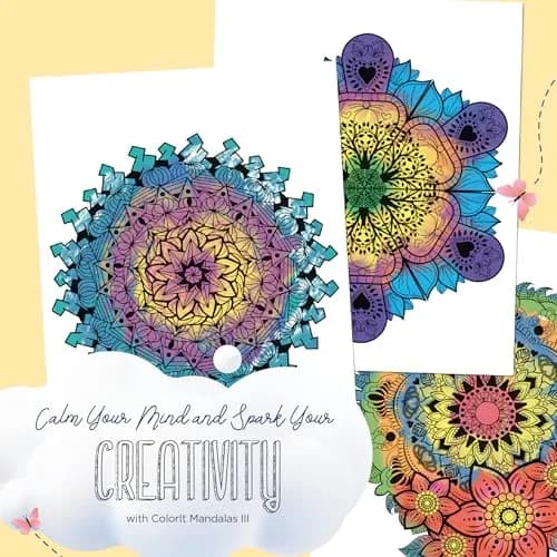 ColorIt Mandalas to Color Vol III Adult Coloring Book | 50 Hand-Drawn Mandalas | Spiral Bound | Thick Artist-Quality Paper thumbnail 2