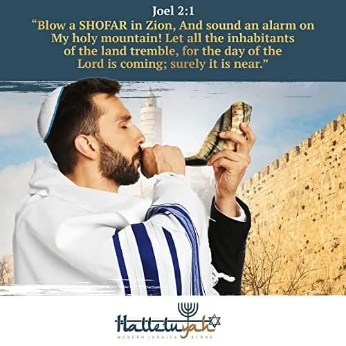 HalleluYAH Kosher Ram Horn Shofar 14"-16" (35.5-40.6 cm) | Authentic Biblical Sound thumbnail 4