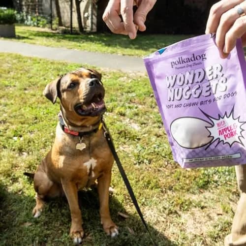 Polkadog Pork & Apple Wonder Nuggets | Soft & Chewy Dog Treats, 10oz thumbnail 7