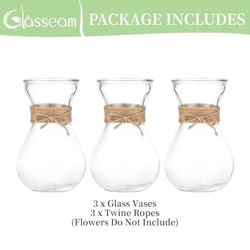 Glasseam Hyacinth Bulb Forcing Vases Set of 3, Small Glass Vase for Flowers | Modern Minimalist Transparent Design thumbnail 6